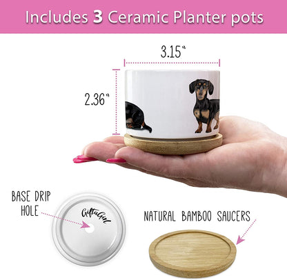 Dachshund Gifts for Women - Pretty Weiner Dog Gifts for Women, Decor Perfect for Any Occasion, Our Planter Pots Are Cute Daschund Wiener Gifts for Women and Arrive Beautifully Gift Boxed