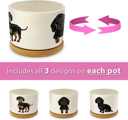 Dachshund Gifts for Women - Pretty Weiner Dog Gifts for Women, Decor Perfect for Any Occasion, Our Planter Pots Are Cute Daschund Wiener Gifts for Women and Arrive Beautifully Gift Boxed