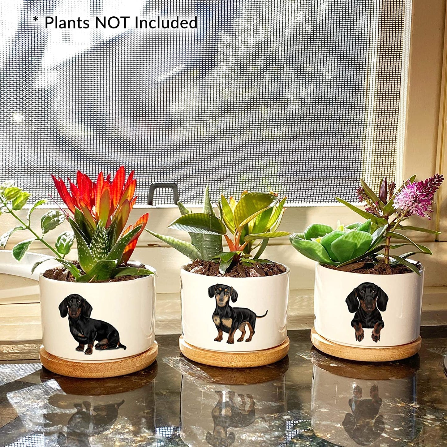 Dachshund Gifts for Women - Pretty Weiner Dog Gifts for Women, Decor Perfect for Any Occasion, Our Planter Pots Are Cute Daschund Wiener Gifts for Women and Arrive Beautifully Gift Boxed